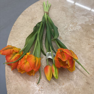 Fresh Touch Orange Green Tulipa Parrot Tulip Bundle 10199O