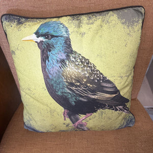 Decorative Pillow w Starling - 100% Cotton