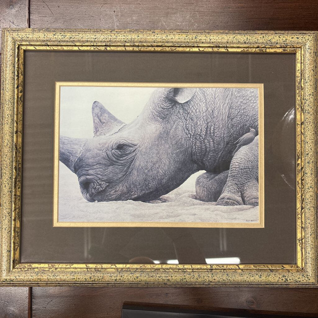 Rhino Framed Art Print