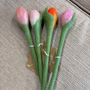 Nepal Tulip Stem w Leaf