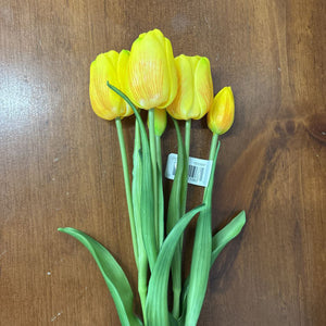 Fresh Touch Yellow Day Dream Tulip Bundle 10196Y