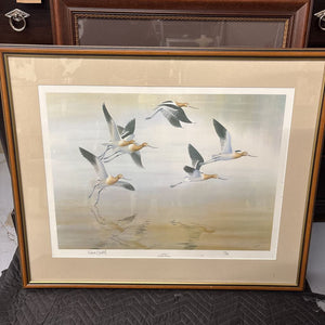 Avocets Birds Print w Wood Frame by Richard Weatherly