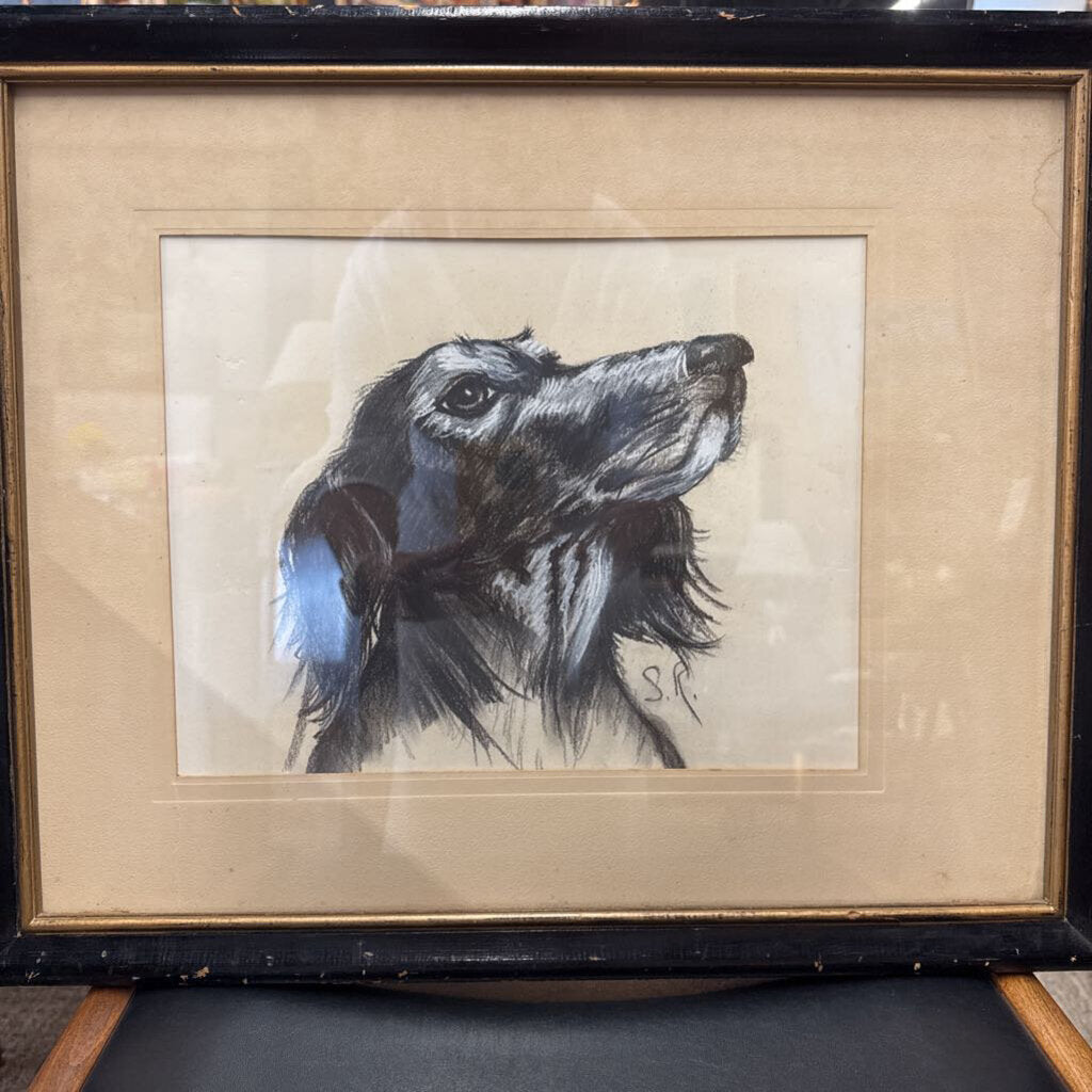'The Spaniel' Original Charcoal/Pastels - from Skinner Estate, GAN.