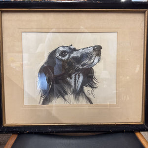 'The Spaniel' Original Charcoal/Pastels - from Skinner Estate, GAN.
