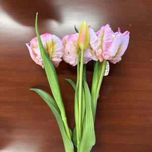 Fresh Touch Pink PARROT Tulip Bundle 16" 10199LV