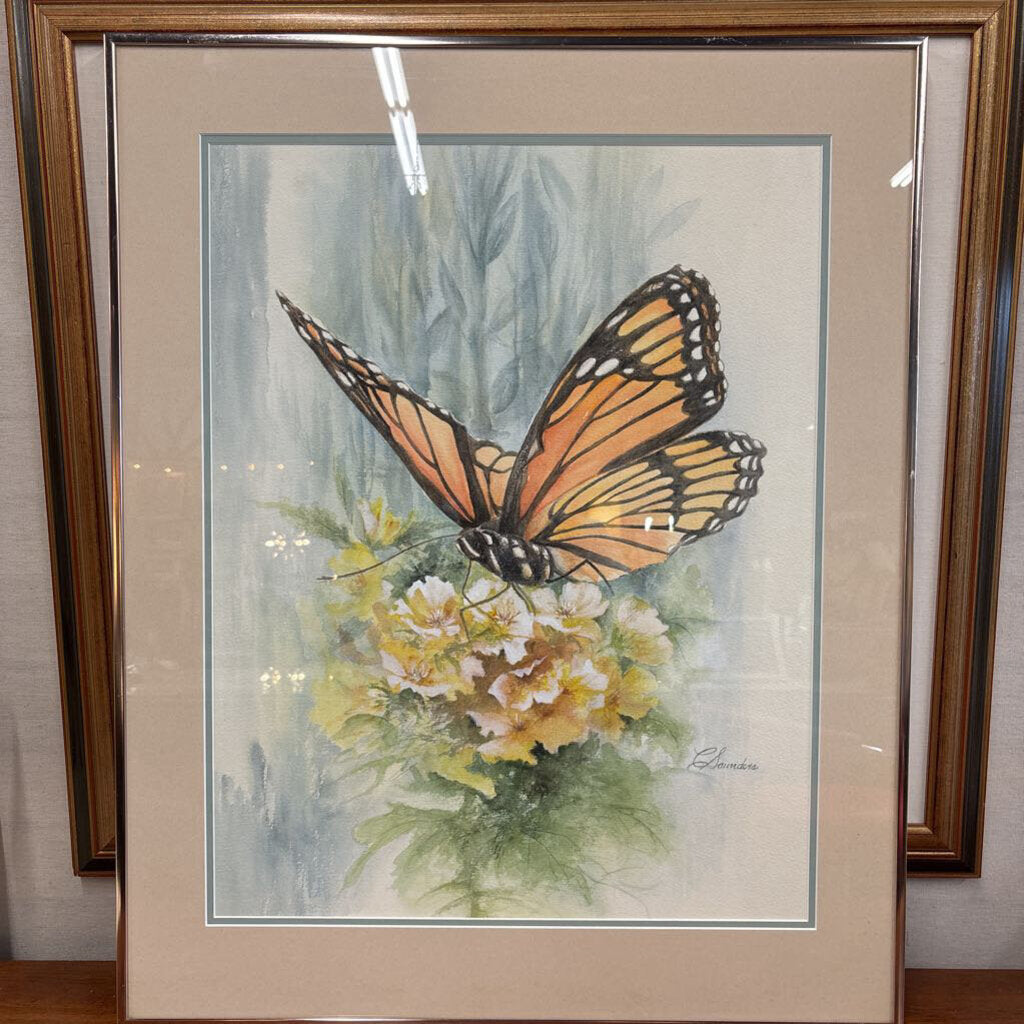 Monarch Butterfly Original WC by C. Saunders