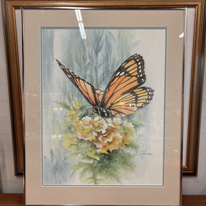 Monarch Butterfly Original WC by C. Saunders