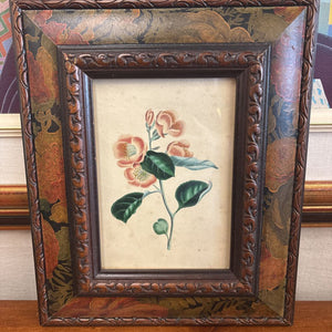 Vintage Botanical Print in Carved Floral Frame