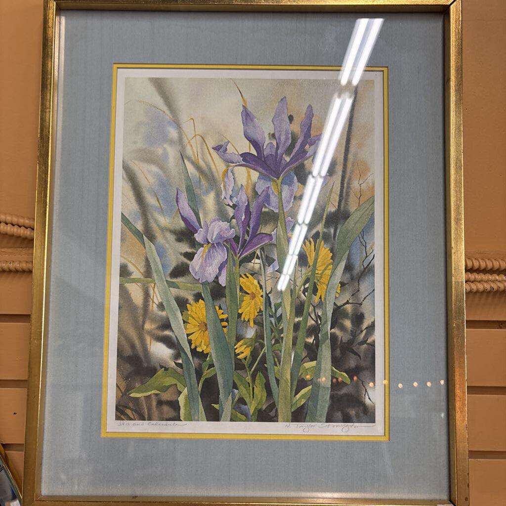 'Iris & Calendula' Print by N. Taylor Storington - in Gold Frame
