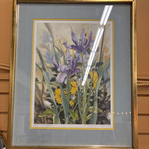 'Iris & Calendula' Print by N. Taylor Storington - in Gold Frame