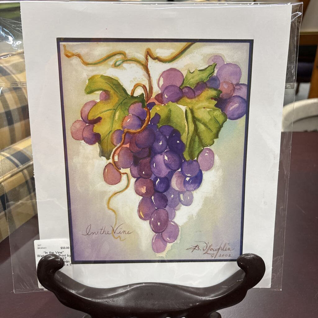 "In the Vine" Watercolour Print by LOCAL ARTIST Barbara O'Loughlin Without Frame