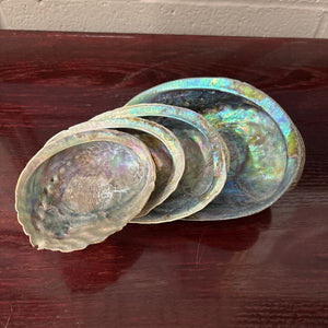 Iridescent 4 Nested Abalone Mother-of-Pearl Shells