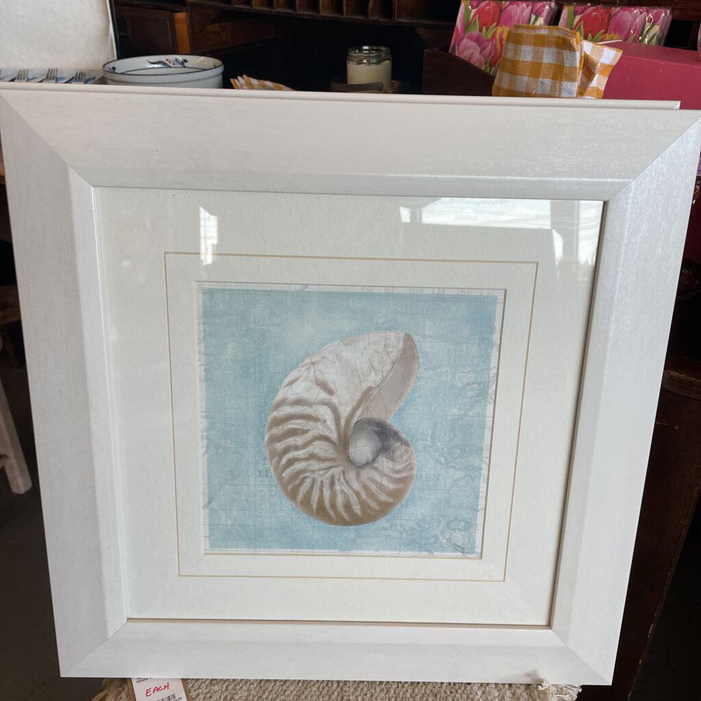 Snail Shell w Blue Background, White Frame