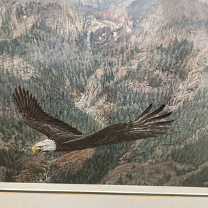 'Freedom' - Eagle - Paul Rankin Print