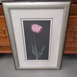Brushed Silver Framed Still Life Photo of Pink Tulip