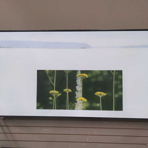 Acrylic on Canvas "Meadow Flowers" by S. Ooman w Black Frame